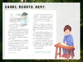 4.《珍珠鸟》课件   2025-2026学年五年级语文上册 统编版