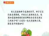 3 植物妈妈有办法 -课件-2025-2026学年度统编版语文二年级上册