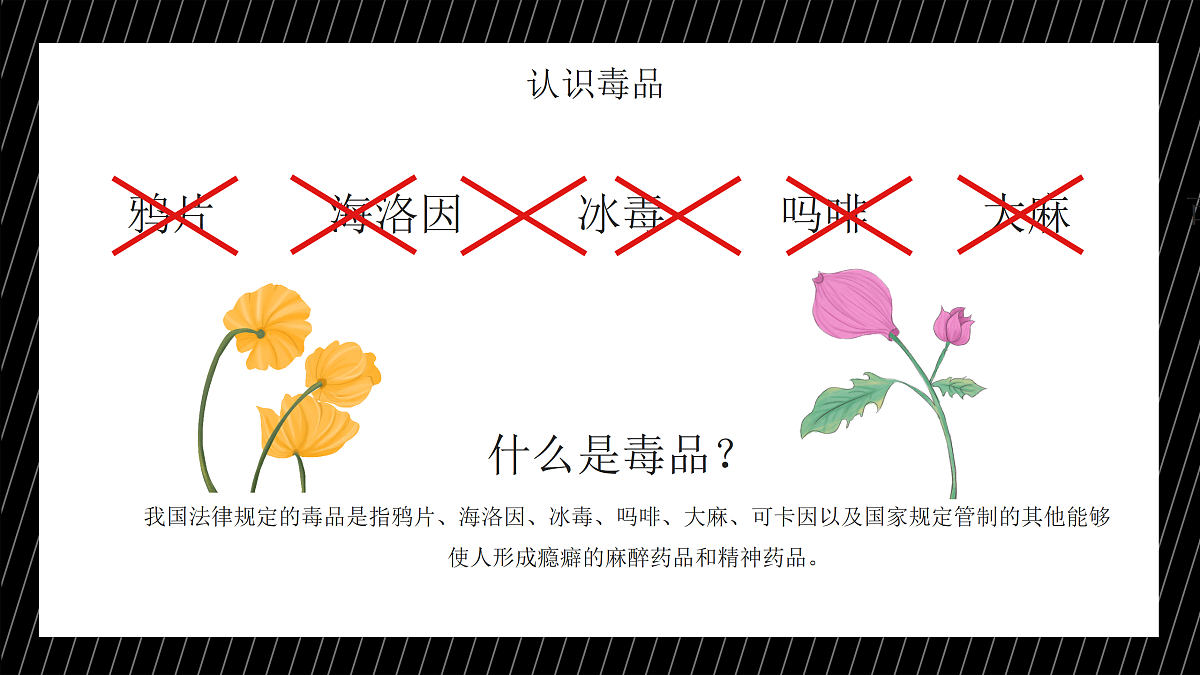 17393335第4页
