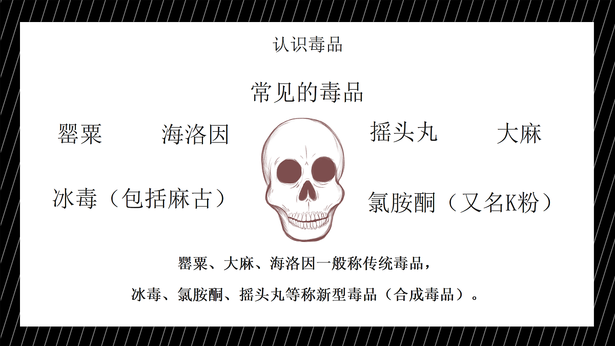 17393335第5页