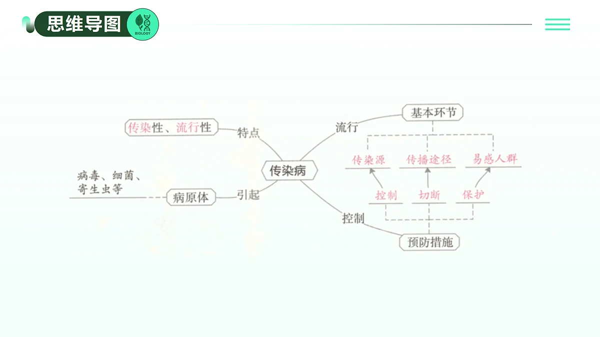 17393371第2页