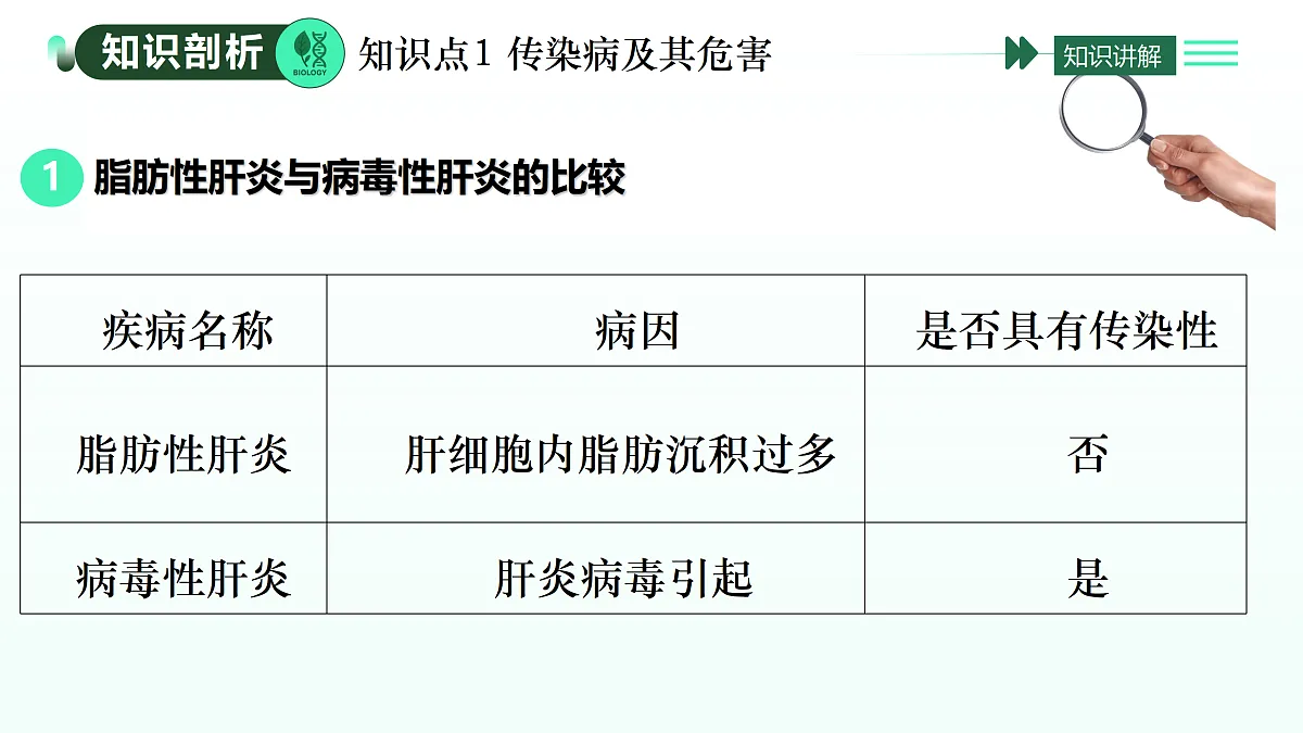 17393371第3页