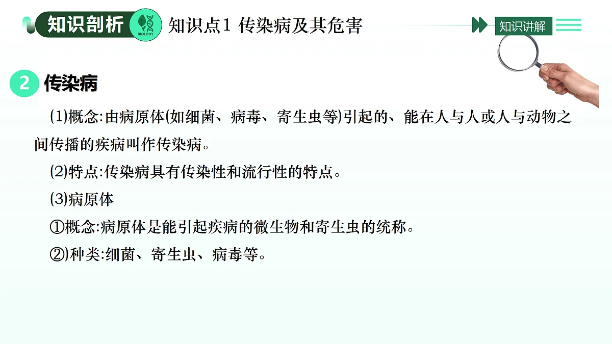 17393371第4页