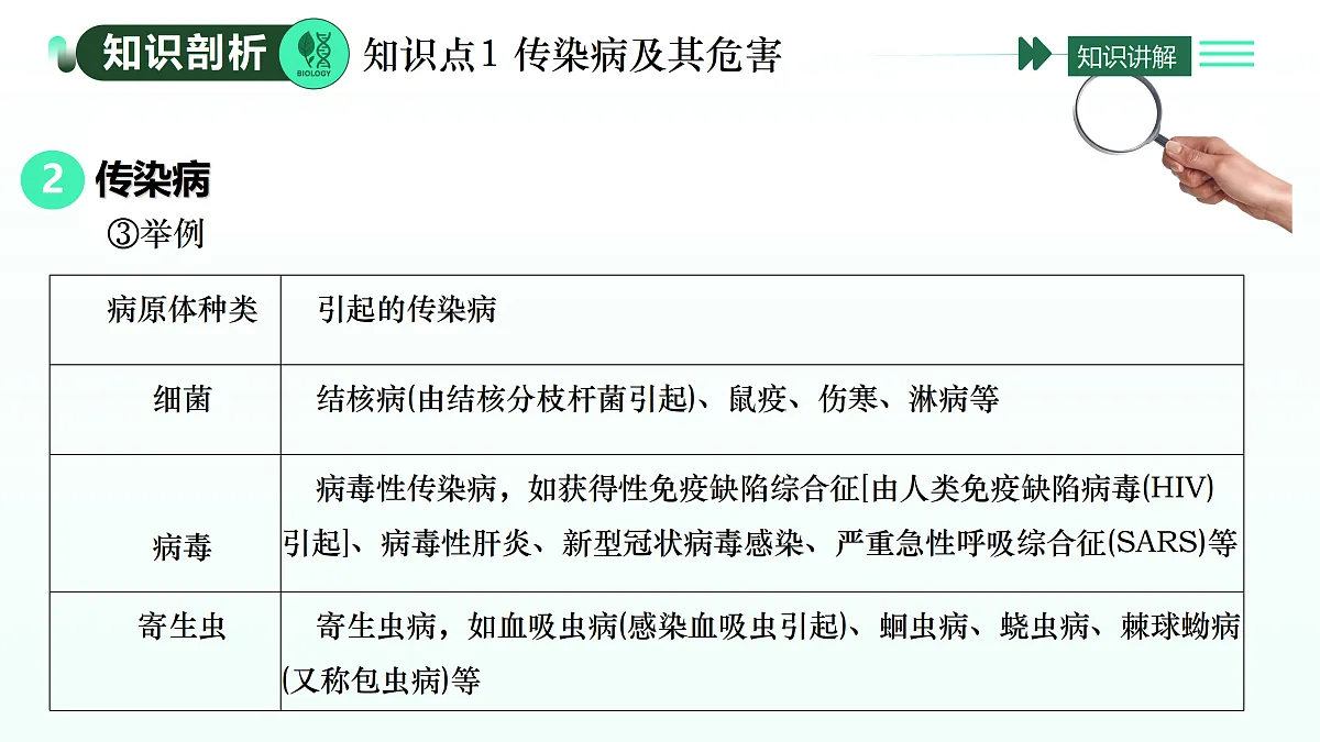 17393371第5页