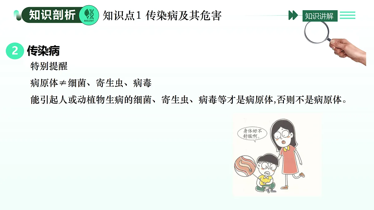 17393371第6页