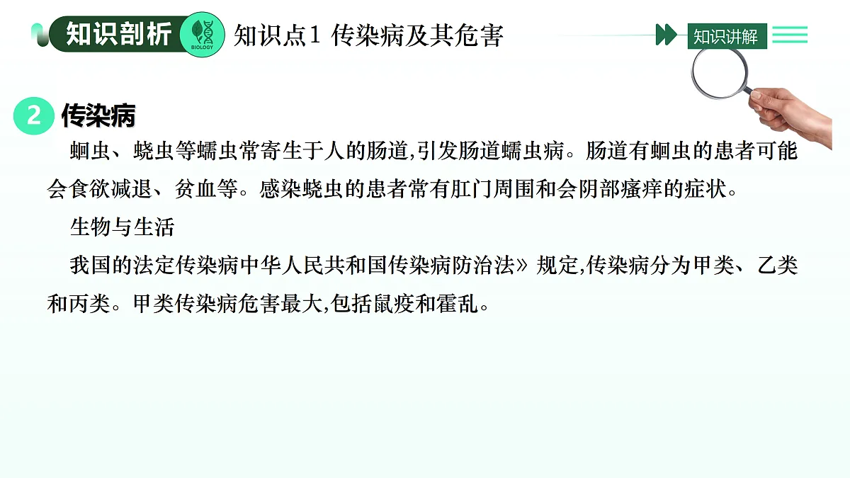 17393371第7页