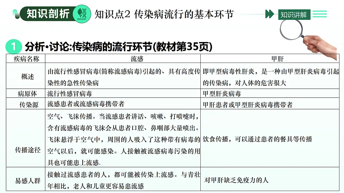 17393371第8页