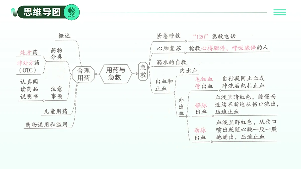 17393375第2页