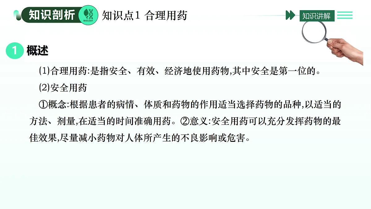 17393375第3页