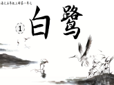 1 白鹭 课件 2025-2026统编版小学语文五年级上册