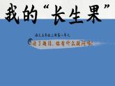 26 我的“长生果”  课件 2025-2026统编版小学语文五年级上册