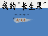 26 我的“长生果”  课件 2025-2026统编版小学语文五年级上册