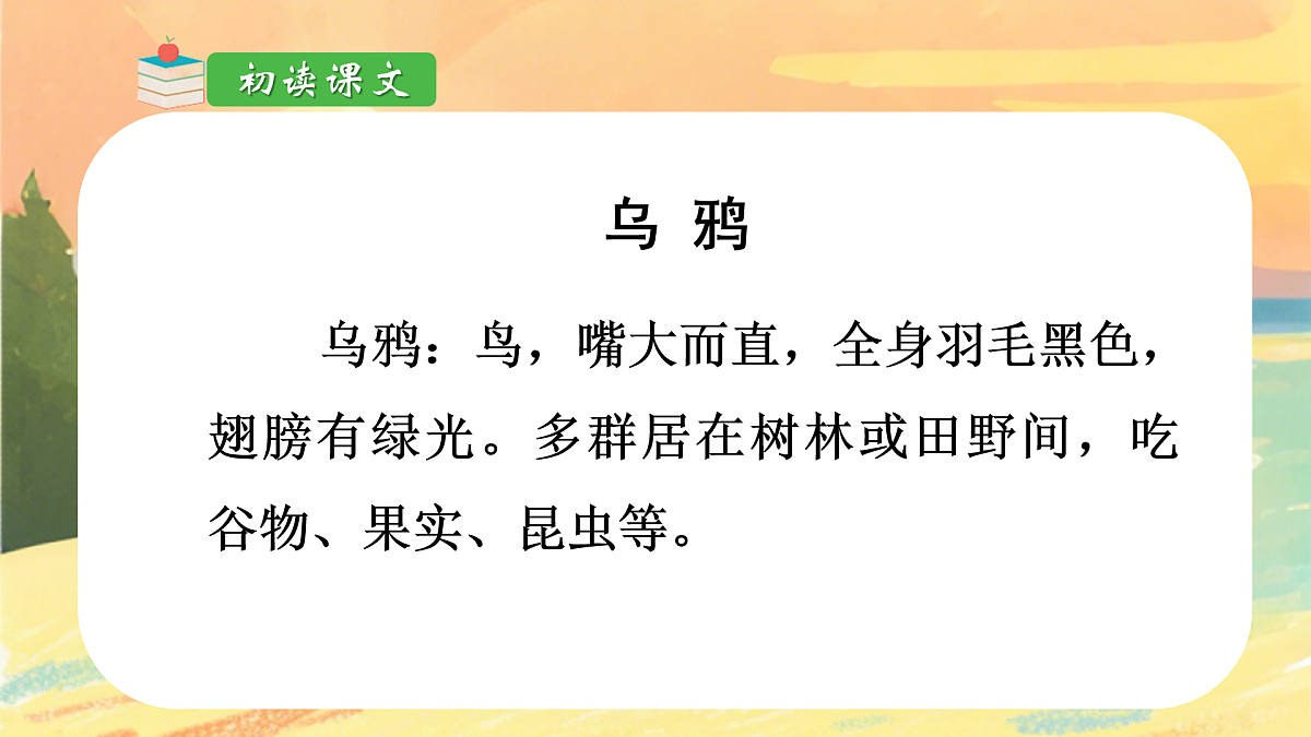 17394020第3页