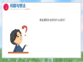 3《往水里加盐》（课件）2025-2026学年-科学二年级上册（粤教粤科版2024）