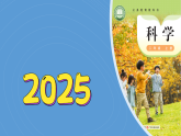5《认识感觉器官》（课件）2025-2026学年-科学二年级上册（粤教粤科版2024）