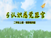 5《认识感觉器官》（课件）2025-2026学年-科学二年级上册（粤教粤科版2024）