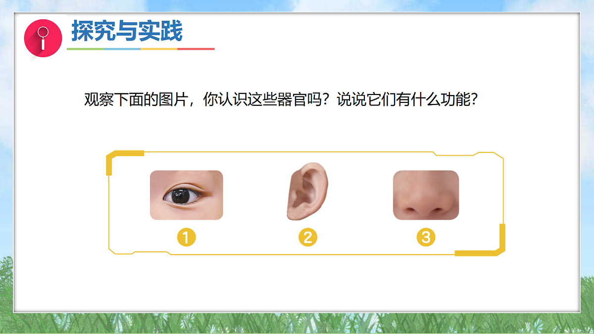 17394131第7页