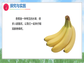 6《运用感觉器官》（课件）2025-2026学年-科学二年级上册（粤教粤科版2024）