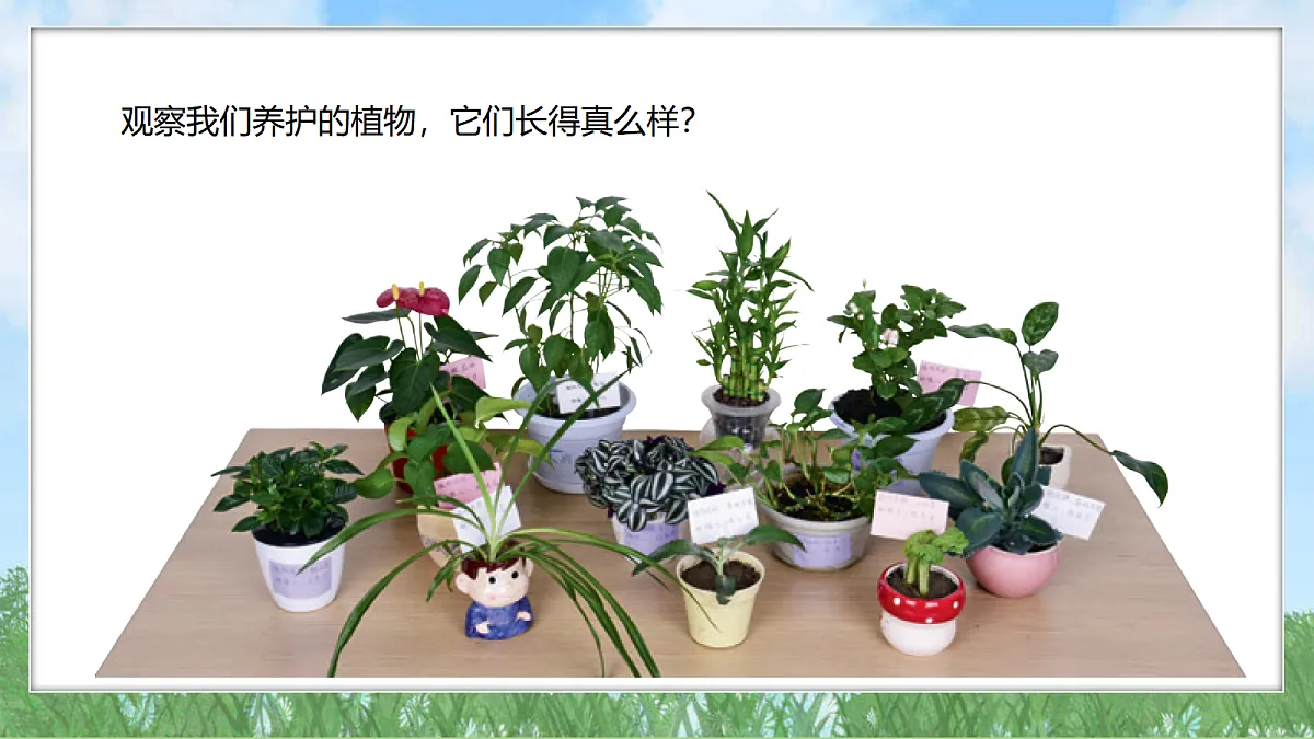 17394141第3页