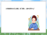 3《土壤中的动植物》（课件）科学二年级上册（人教鄂教版2024）