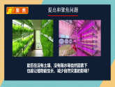 5.16《走进植物工厂》课件+实验视频