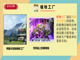 5.16《走进植物工厂》课件+实验视频