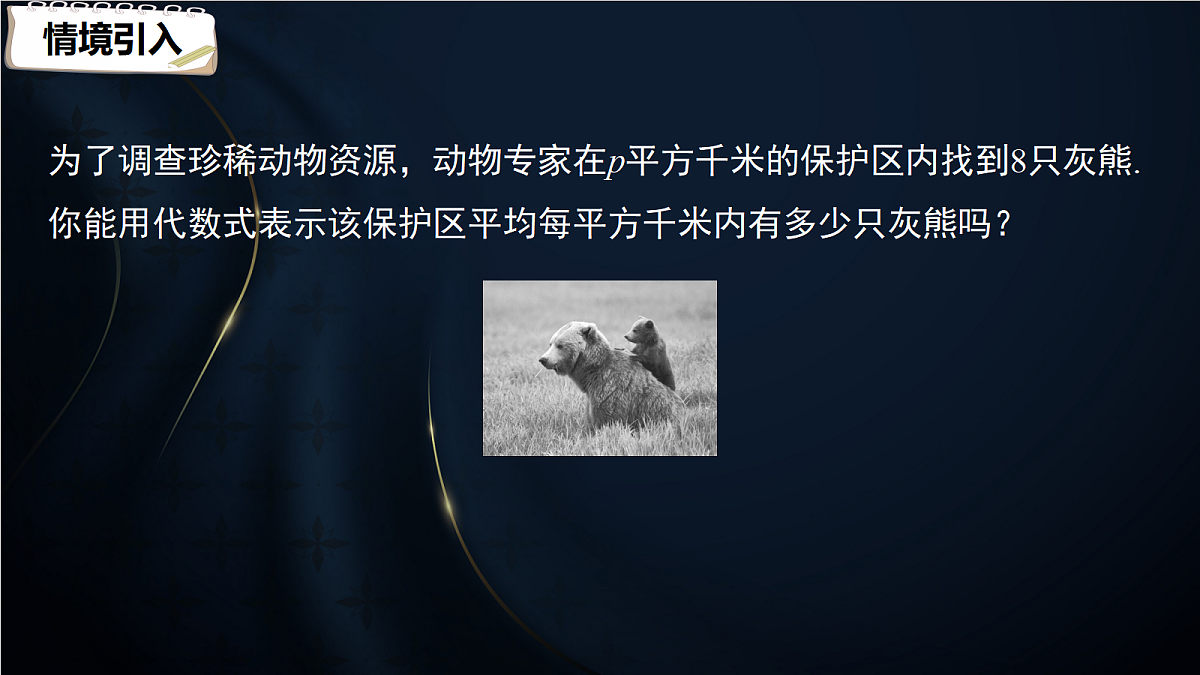 17394209第3页