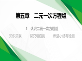 5.1认识二元一次方程组（教学课件）-初中数学北师大版（2024）八年级上册