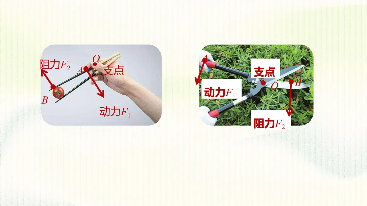 17395011第7页