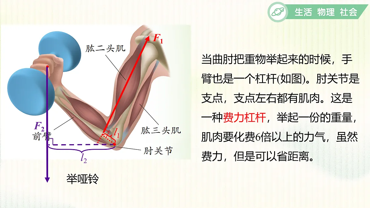 17395014第8页
