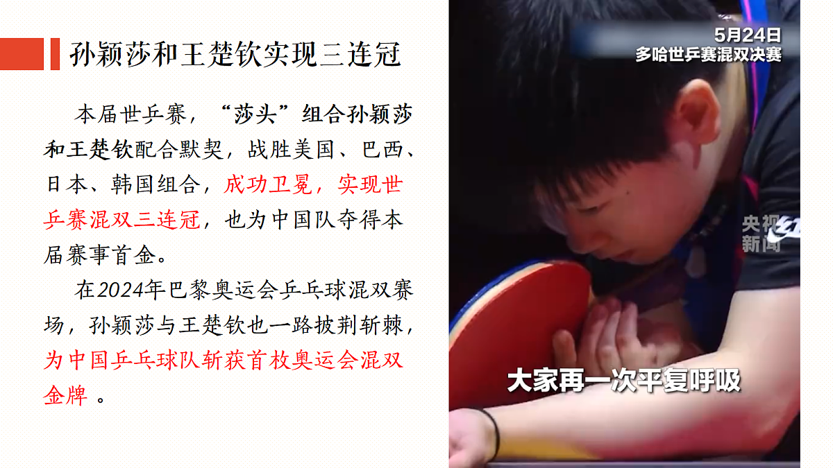 17395304第3页