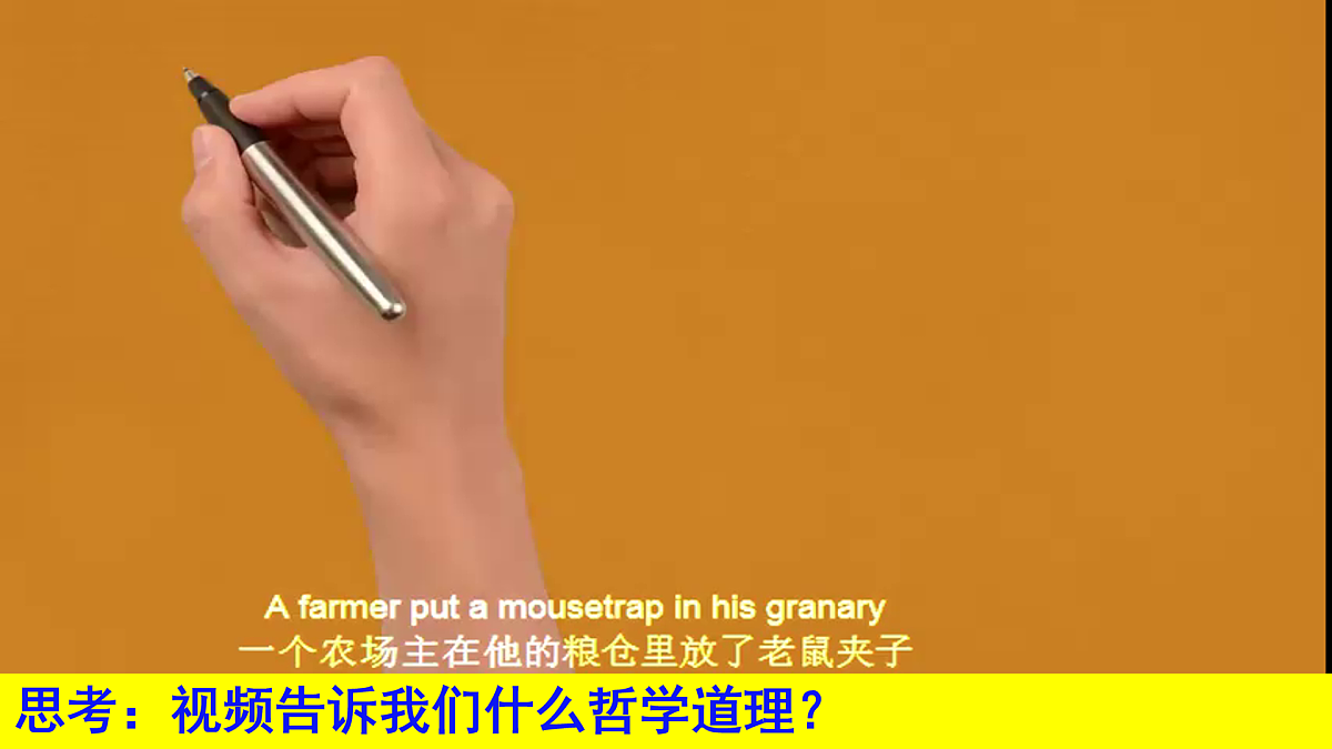 17395453第3页