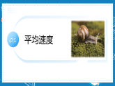 1.3 速度课件-2025-2026学年高一上学期物理鲁科版必修第一册