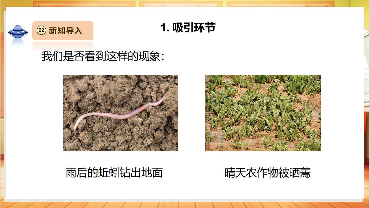 3.3《天气与动植物》课时课件第5页