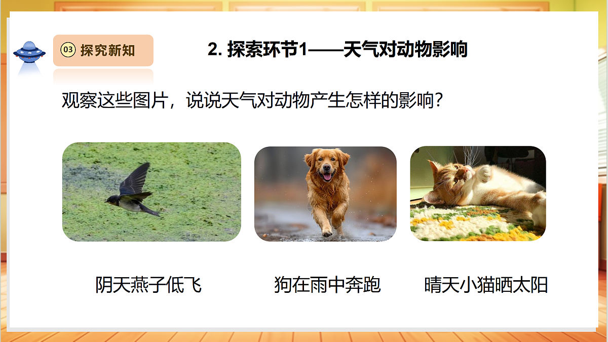 3.3《天气与动植物》课时课件第7页