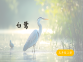 1 白鹭-课件-2025-2026学年度统编版语文五年级上册