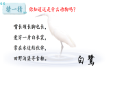 1 白鹭-课件-2025-2026学年度统编版语文五年级上册