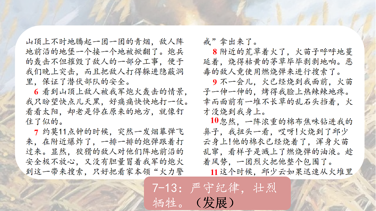 17395815第8页