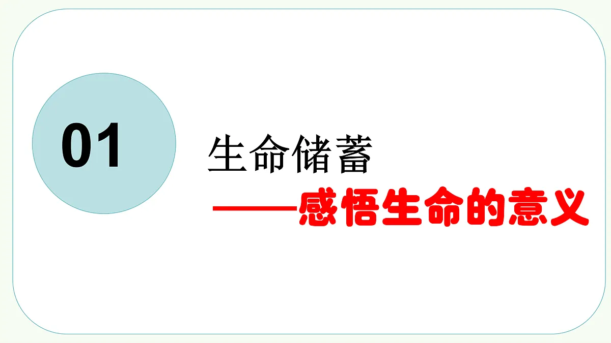 17396023第4页