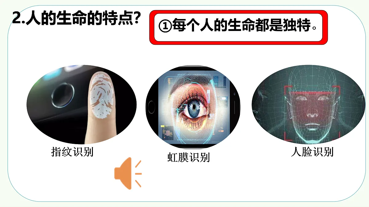 17396023第8页