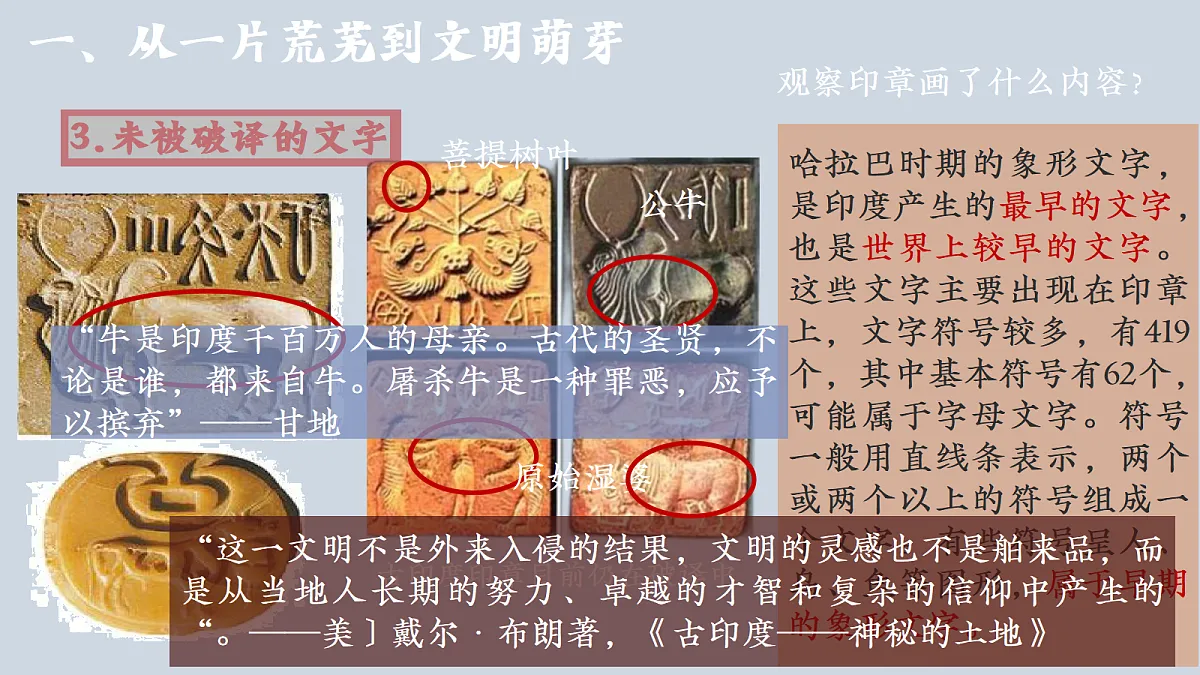 17396132第7页