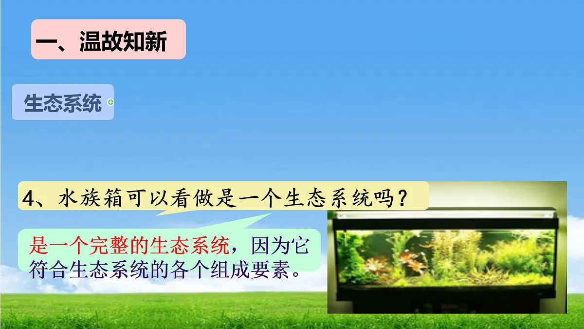 17396697第2页