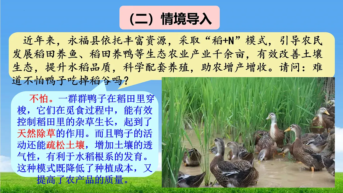 17396697第3页