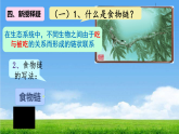 5.1.2+生态系统的结构和功能课件2025-2026学年人教版生物八年级上册