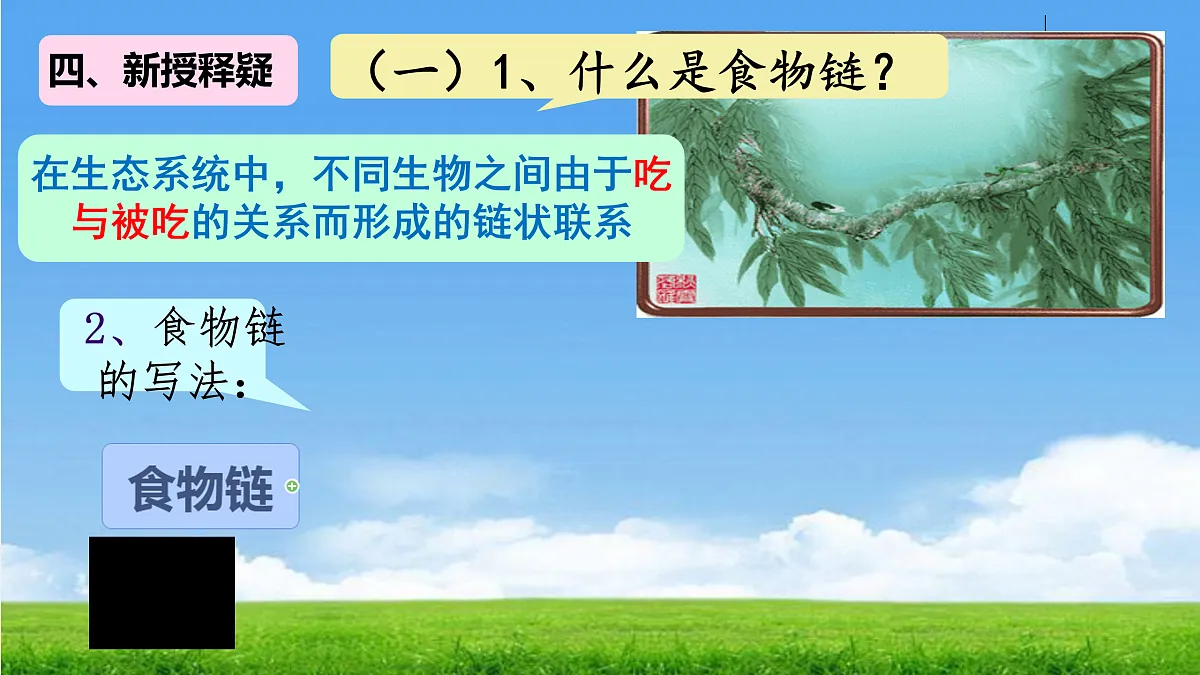 17396697第5页