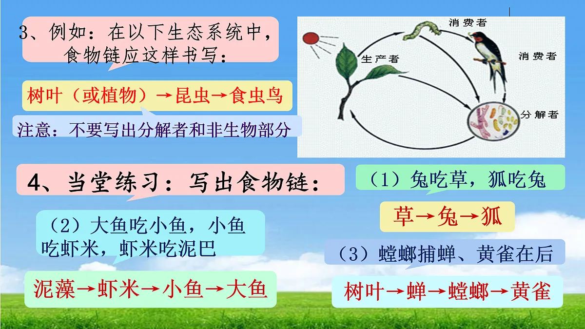 17396697第6页