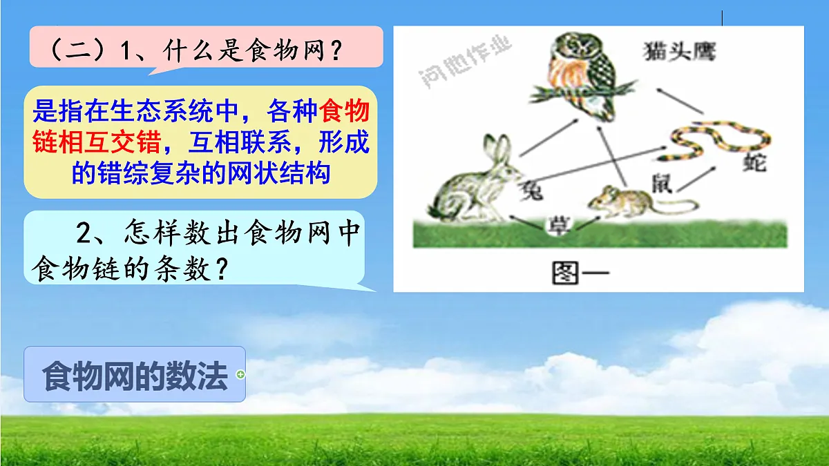 17396697第7页
