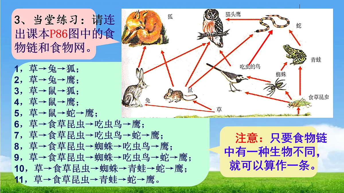 17396697第8页