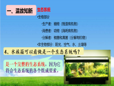 5.1.2 生态系统的结构和功能（二） 课件 2025-2026学年人教版生物八年级上册