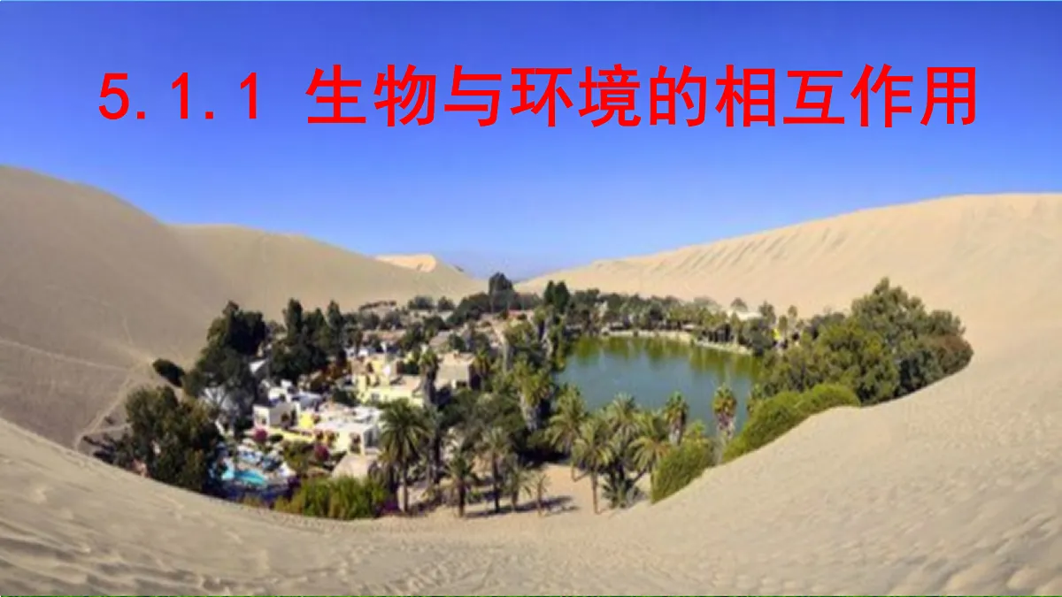 17397127第1页